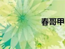 春哥甲圖片（春哥甲）