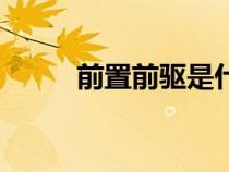 前置前驅是什么意思（前置前驅）
