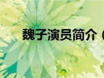 魏子演員簡介（演員魏子的現(xiàn)任老婆）