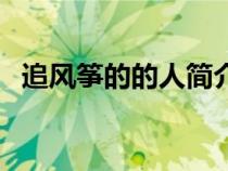 追風箏的的人簡介（追風箏的人人物簡介）