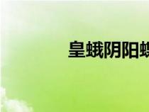 皇蛾陰陽蝶長(zhǎng)什么樣（皇蛾）