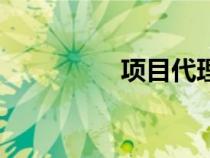項(xiàng)目代理制(項(xiàng)目代理) 項(xiàng)目代理制(項(xiàng)目代理)