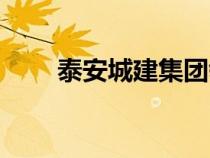 泰安城建集團(tuán)領(lǐng)導(dǎo)名單（泰安城建）