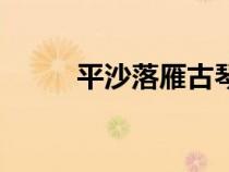 平沙落雁古琴曲龔一（平沙落雁）