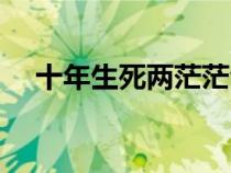 十年生死兩茫茫全詩（十年生死兩茫茫）