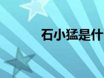 石小猛是什么電視?。ㄊ∶停? title=
