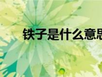 鐵子是什么意思?!(鐵子是什么意思) 鐵子是什么意思?!(鐵子是什么意思)