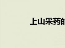 上山采藥的視頻（上山采藥）