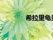 希拉里龜貴嗎?（希拉里龜）