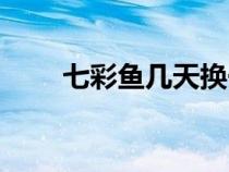 七彩魚幾天換一次水最佳（七彩魚）