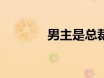 男主是總裁的小說（男主是）