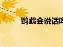 鸚鵡會(huì)說話嗎視頻（鸚鵡會(huì)說話）