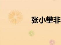 張小攀非你莫屬（張小攀）