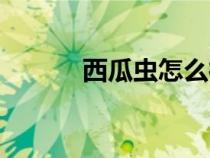 西瓜蟲怎么徹底消滅(西瓜蟲) 西瓜蟲怎么徹底消滅(西瓜蟲)