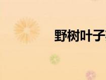 野樹葉子英語（葉子英語）