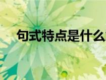 句式特點是什么意思（特點是什么意思）