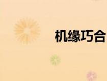 機(jī)緣巧合電影（肌緣巧合）