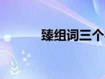 臻組詞三個(gè)字有哪些(臻組詞) 臻組詞三個(gè)字有哪些(臻組詞)