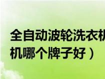 全自動波輪洗衣機哪款好用（波輪全自動洗衣機哪個牌子好）