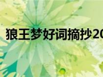 狼王夢好詞摘抄200個(gè)（狼王夢好詞100個(gè)）