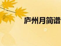 廬州月簡(jiǎn)譜許嵩（廬州月簡(jiǎn)譜）