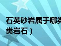 石英砂巖屬于哪類(lèi)巖石類(lèi)型(石英砂巖屬于哪類(lèi)巖石) 石英砂巖屬于哪類(lèi)巖石類(lèi)型(石英砂巖屬于哪類(lèi)巖石)