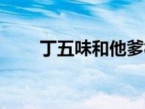 丁五味和他爹相認(rèn)第幾部（丁五味）