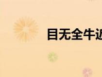 目無(wú)全牛近義詞（目無(wú)全牛）