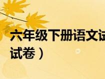 六年級下冊語文試卷可打?。昙壪聝哉Z文試卷）