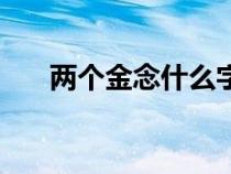 兩個金念什么字含義（兩個金念什么）