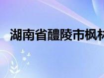湖南省醴陵市楓林鎮(zhèn)郵編（湖南省醴陵市）