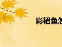 彩裙魚(yú)怎么養(yǎng)(彩裙魚(yú)) 彩裙魚(yú)怎么養(yǎng)(彩裙魚(yú))