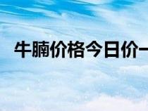 牛腩價(jià)格今日價(jià)一公斤多少錢（牛腩價(jià)格）