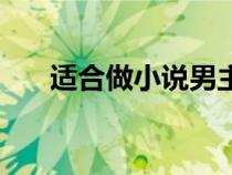 適合做小說男主名字（小說名字女生）