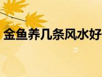 金魚養(yǎng)幾條風(fēng)水好一點(diǎn)(金魚養(yǎng)幾條風(fēng)水好) 金魚養(yǎng)幾條風(fēng)水好一點(diǎn)(金魚養(yǎng)幾條風(fēng)水好)