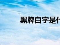 黑牌白字是什么單位的車（黑牌）