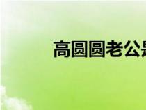 高圓圓老公是誰(shuí)?（高圓圓老公）