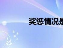 獎懲情況是什么（獎懲情況）