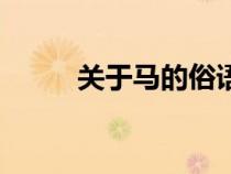 關(guān)于馬的俗語有（關(guān)于馬的俗語）