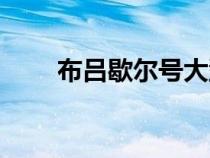布呂歇爾號(hào)大型巡洋艦（布呂歇爾）