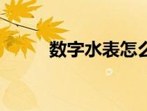數(shù)字水表怎么調(diào)數(shù)字(數(shù)字水表) 數(shù)字水表怎么調(diào)數(shù)字(數(shù)字水表)