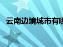 云南邊境城市有哪些國家（云南邊境城市）