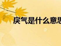 戾氣是什么意思氣（戾氣是什么意思）