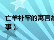 亡羊補(bǔ)牢的寓言故事簡(jiǎn)寫（亡羊補(bǔ)牢的寓言故事）