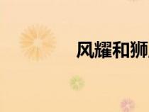 風(fēng)耀和獅王誰厲害（風(fēng)耀）