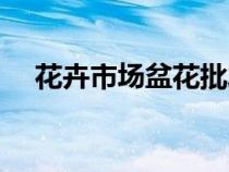 花卉市場(chǎng)盆花批發(fā)(盆栽花卉批發(fā)市場(chǎng)) 花卉市場(chǎng)盆花批發(fā)(盆栽花卉批發(fā)市場(chǎng))