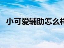 小可愛輔助怎么樣（小可愛輔助官方網站）