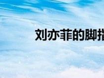 劉亦菲的腳指甲美（劉亦菲的腳）