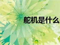 舵機是什么電機（舵機是什么）