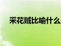 采花賊比喻什么生肖（采花賊采補女俠）